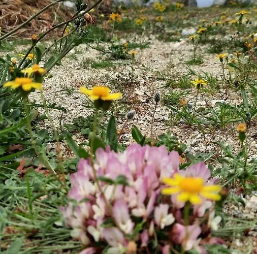 아파트 Arion Mykonos